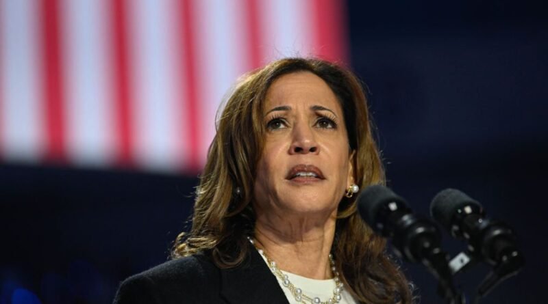 Michigan Arab-Americans 'can't stomach Harris stance on Gaza